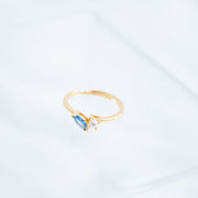 The Iris Dainty & Delicate Black and Gold Ring - Adjustable